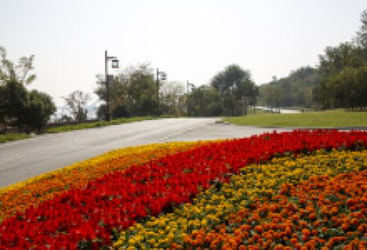明月岛公园景点图片