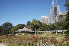 悉尼皇家植物园-悉尼-小民2011