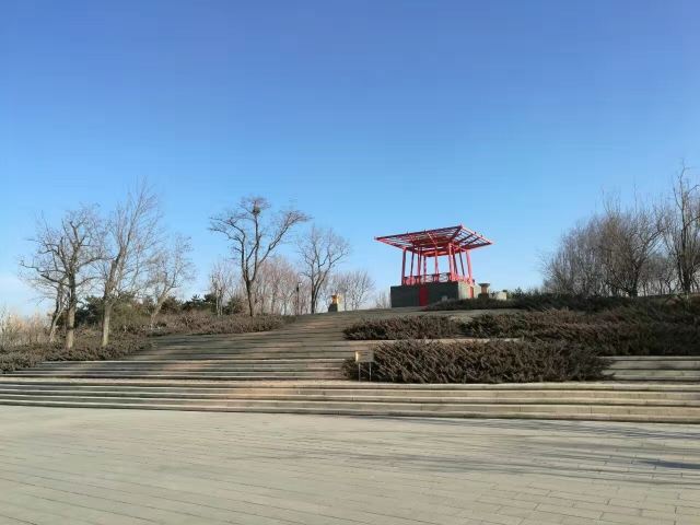 大望京公园旅行图片 4