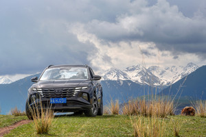 特克斯县游记图文-在伊犁，与北京现代第五代途胜L一起追寻五月秘境之旅