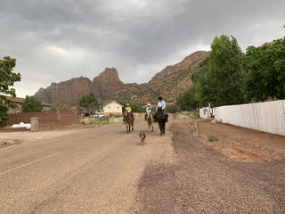 2019 自由驰骋美西5000公里 （3）