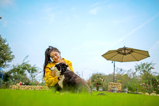 长见识,黄陂这家客栈的布局暗藏玄机