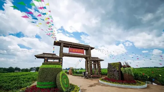 橫縣茉莉花文化公園