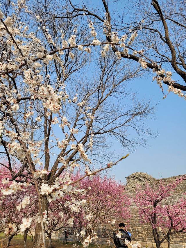 北京明城墙遗址公园旅行图片 5