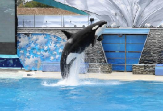 圣地亚哥海洋世界景点图片