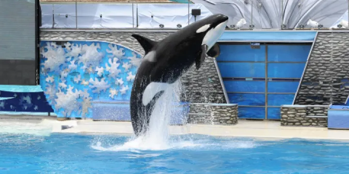 聖地亞哥海洋世界