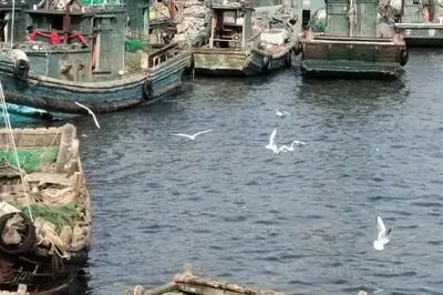 积米崖港
