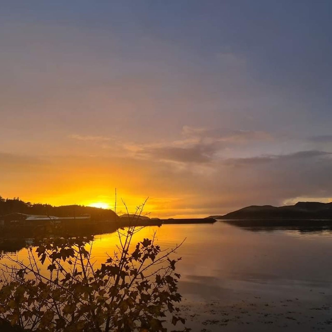 Delilah's Restaurant & Bar