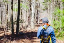 蓝山自然保护区景点图片