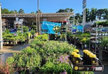 Lowe's Garden Center购物图片