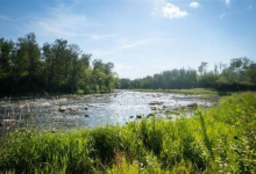 Hudson Bay Regional Park景点图片