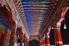 乃琼寺-拉萨-阿诚的白日梦