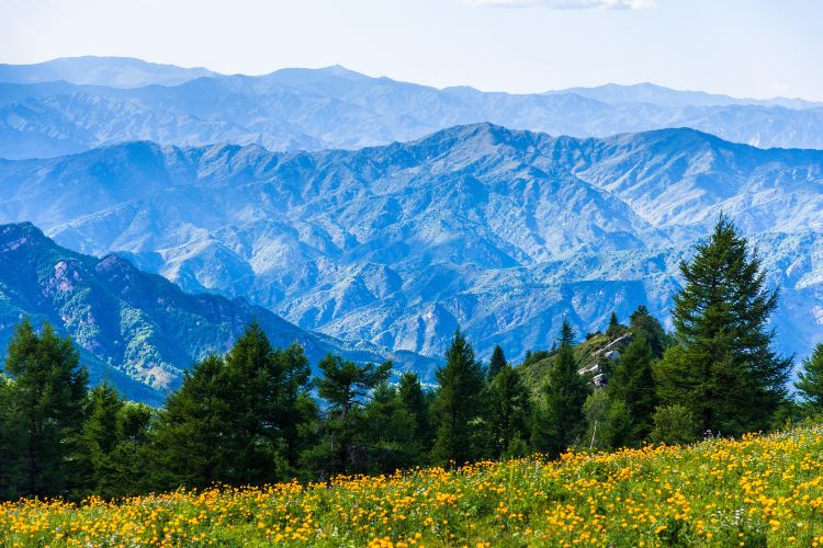 驼梁风景区