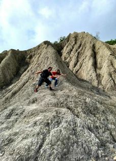 田寮月世界-高雄-貓貓達