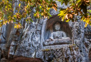 杭州灵隐飞来峰景区+灵隐寺半日游【纯玩团专业导游深度讲解】【纯玩团，行程轻松，游览时间充足】