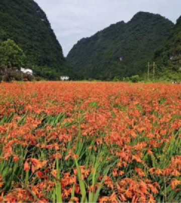 瑞昌游记图文-长顺百姓靠着好山好水“卖风景”，吃上“旅游饭”！