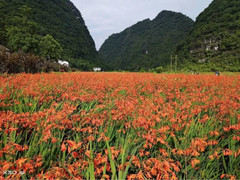 瑞昌游记图片] 长顺百姓靠着好山好水“卖风景”，吃上“旅游饭”！