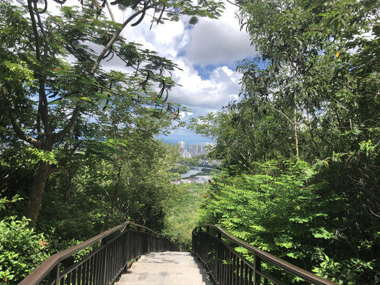 游玩过的三亚景点（四）——临春岭森林公园