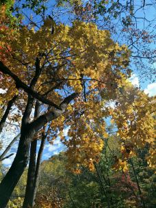 猴石国家森林公园-新宾-YoYo_8B6E7T2S