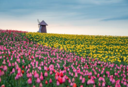 江布拉克景点图片