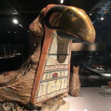 木乃伊博物馆-卢克索-多多