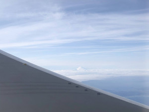 青森市游记图文-出不去只有写写游记回忆 2020年1月日本东北 东京—青森7日游