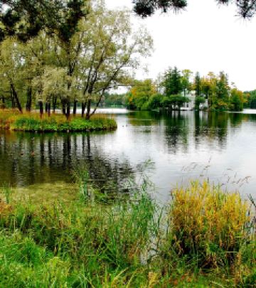 普希金游记图文-徜徉于普希金村，追寻诗人的足迹