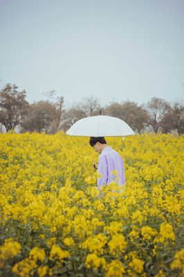 三月慢城金花开,我与南京高淳的春日之约