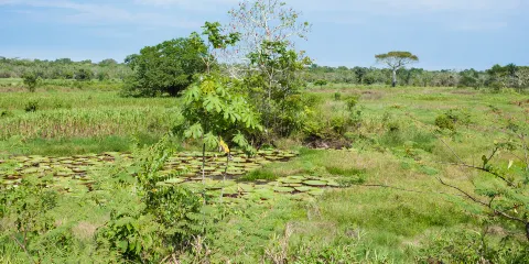 湖南耒水國家濕地公園