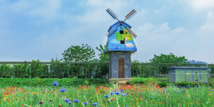 馬畈農業奇幻樂園