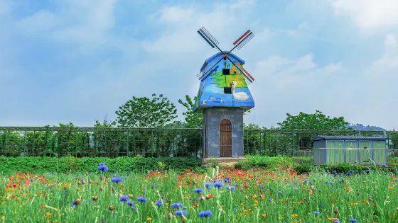 馬畈農業奇幻樂園