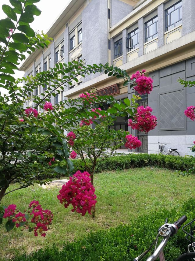 岭南公园旅行图片 2