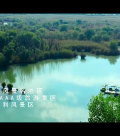 洽川镇游记图文-西安向东，藏着一片无与伦比的“水上花田”