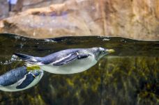 海滨城浩海立方海洋公园-成都-C-IMAGE