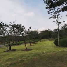 岳屏公园-衡阳-Princesstt