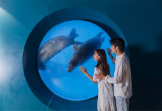 青岛海底世界景点图片