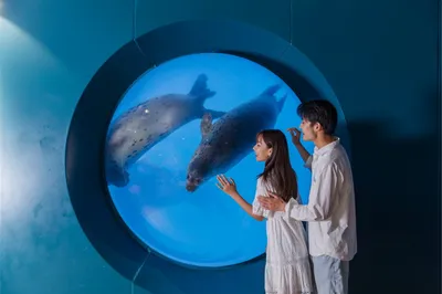 青岛海底世界