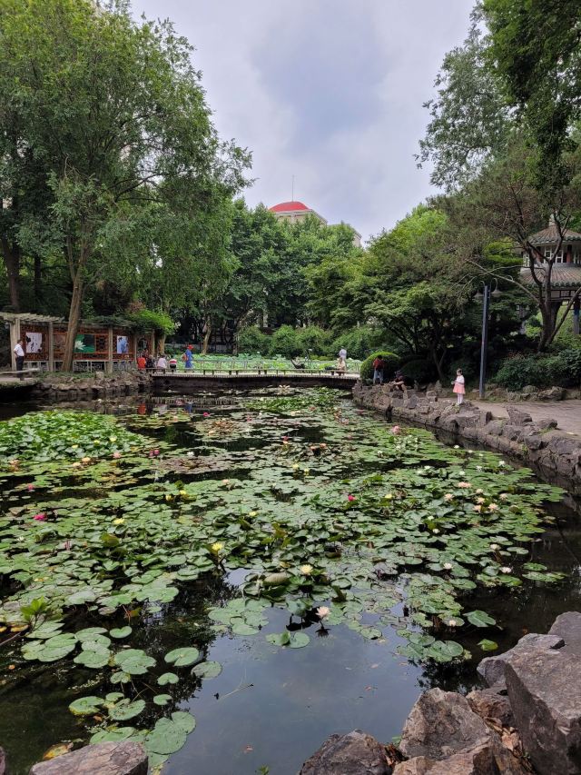 杨浦公园旅行图片 8