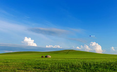 锡林浩特游记图片] 盛夏的锡林郭勒，有你想要的风景与慢生活，还能独享清凉！