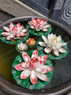 东竹林寺-德钦-CD云上