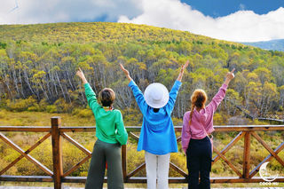 国庆假期余额有限 京郊丰宁七彩森林秋日童话 错过等一年