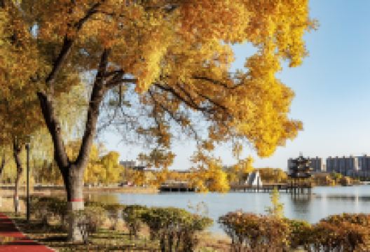 宝湖公园景点图片