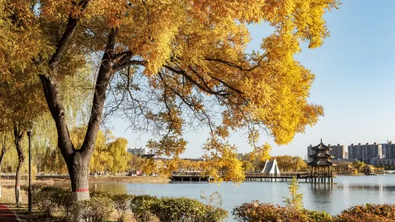 寶湖國家城市濕地公園