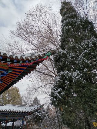 临夏红园的晴与雪