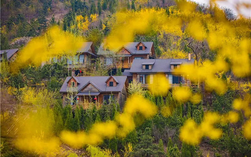 永安旅遊