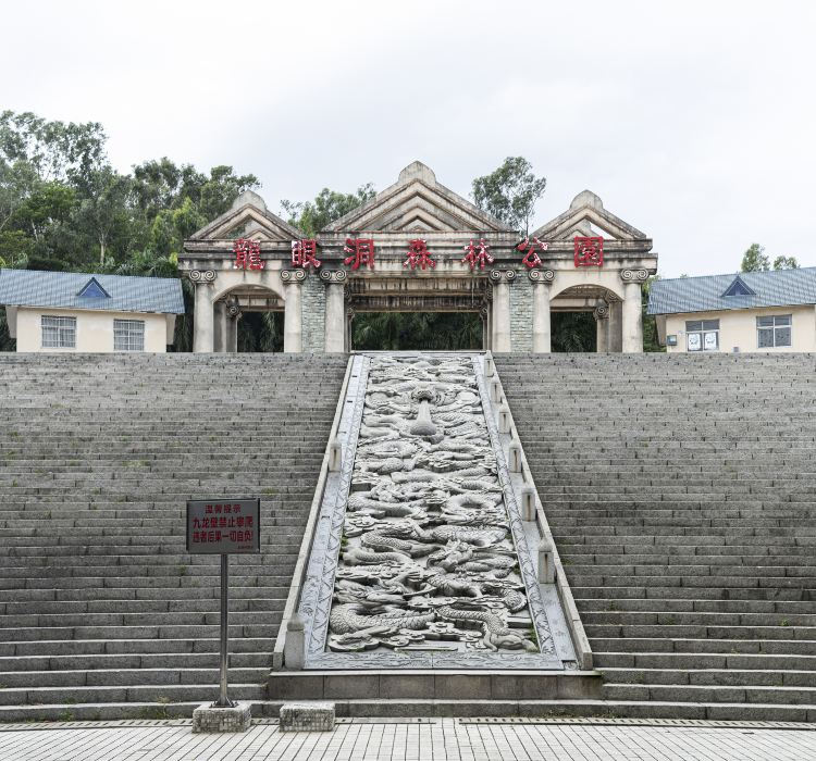 龙洞森林公园