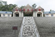 龙眼洞森林公园景点图片