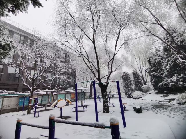 柳荫公园旅行图片 2