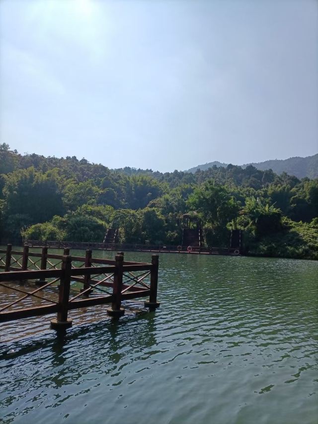 那雾山森林公园旅行图片 2