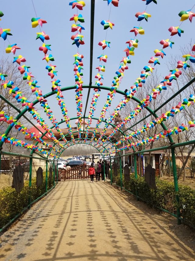 藏马山国际旅游度假区旅行图片 2